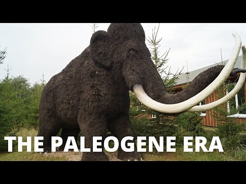 The Paleogene Era