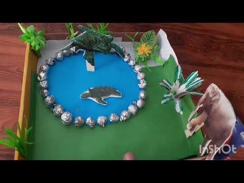 3D Model of Endangered Species Project, 3D Model of Animal Habitat, School Project, Animal Living
