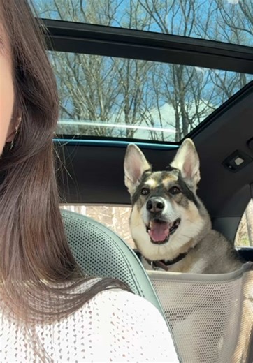 Exploring the Joys of Public Libraries