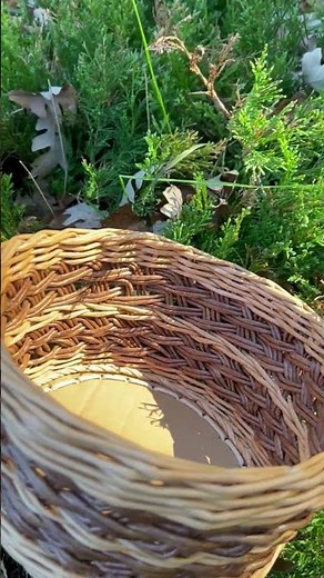 Newspaper weaving with Irina