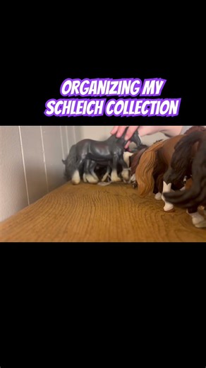 Organizing! 😜 #horse #modelhorse #schleich #equestrian