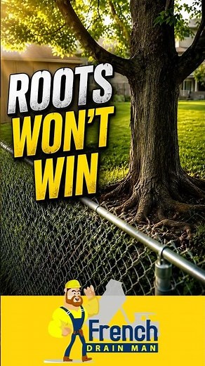 Neighbor’s Tree Roots? Do This
