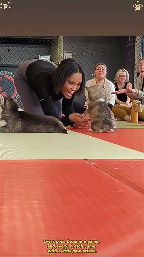 Puppy Yoga: The ultimate zen 🐶#doga #puppyyoga #doglover #yoga #fry