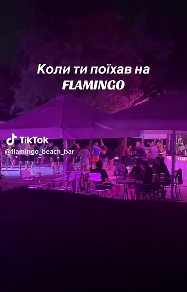 #flamingo_beach_bar