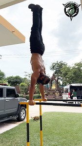 9.9K views · 375 reactions | Handstand to planche | Crocodile Tactic...