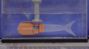 Catalyst: Keeping the water flowing with robotic fish