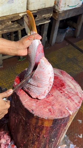 Massive Carp Filleting – So Satisfying to Watch #shorts