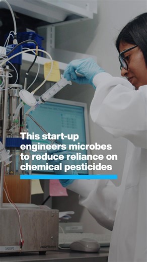 Chemical pesticides cause a lot of collateral damage – to soil, biodiversity, and human health. Because as well as killing the fungi, plants and insects that damage crops, pesticides can also hurt non-target species. Could engineering microbes solve this problem? US start-up Robigo thinks so. It uses a technology called RNA interference to switch off the problematic genes in target species - preventing them from causing damage while leaving the rest of the local ecosystem unharmed, as Robigo’s f