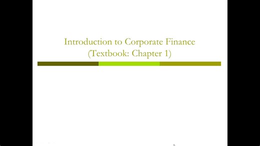 Corporate Finance 公司财务 教学视频 1 Introduction