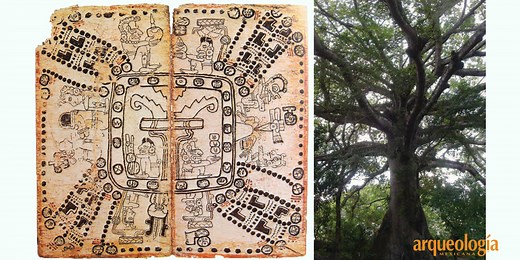 La concepción maya del cosmos