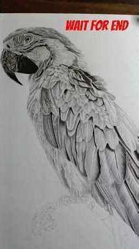 parrot ka drawing 🥰🥰 trending viral shorts 🤣
