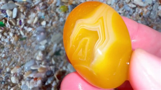 26K views · 212 reactions | The island rich in sapphires, turning over thick crystal pebbles | Beast Wilderness | Facebook