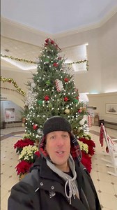 Delicious Motor Vehicles?