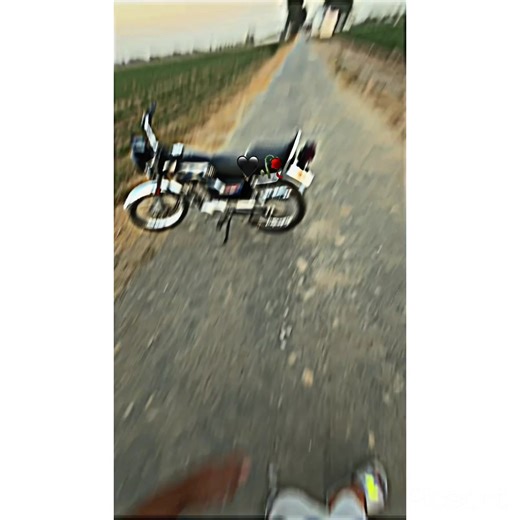 Siki King: The Rise of a Viral Sensation