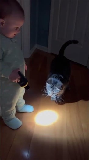 Baby’s Flashlight Show for Cat 🔦😺👶