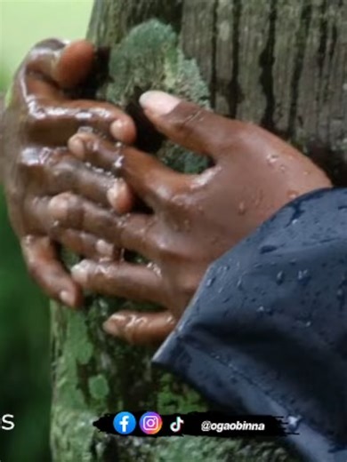 Tree-Hugging Record Holder Shares 72-Hour Fast Journey