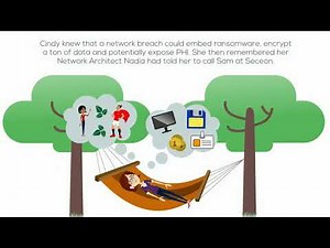 Executive Seceon Video