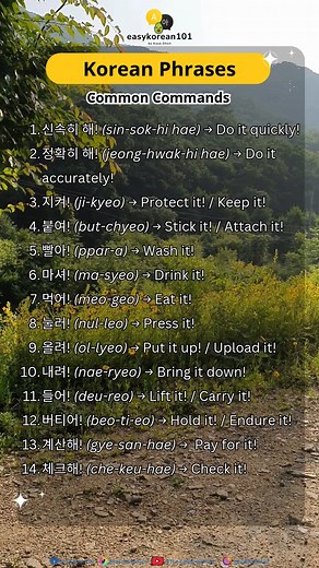 6.6K views · 85 reactions | Korean Common Command Phrases | EasyKorean101 | Facebook