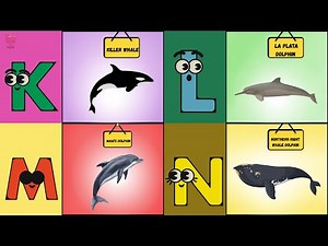 ABC Dolphin Song for Kids 🐬🌊 | ABC Phonics with Ocean Dolphins | Learn A to Z | UZR Kids