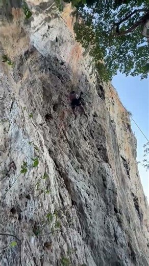 está candela la vista 🥷🏽🇻🇪