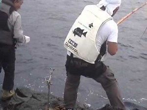 母島・ザ・クチジロ