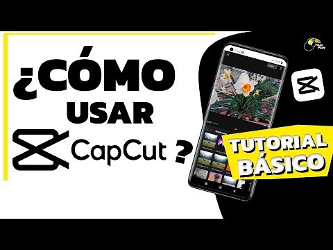 How to Use CapCut Easily and Quickly 🎞️ CapCut Tutorial 🟡 Complete Beginner Course