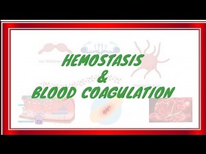 "Hemostasis and Blood Coagulation Explained: Key Mechanisms and Pathways"