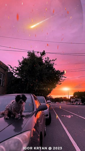 Shih Tzu Sacred By Planet X Nibiru Wormwood Extinction Entering Earth Atmosphere & Burning All Oxygen Planet 9 #igorkryan #planetx #nibiru #wormwood #planet9 #extinction #shihtzu #oxygen | Creator’s Riddle: Darwin vs. God | Facebook