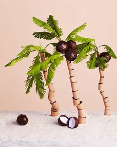 Love coconuts? ALDI now has a variety of the hottest coconut products at everyday low prices to help keep you cool this summer. On sale 7/11 for a limited time. 🌴 | ALDI USA