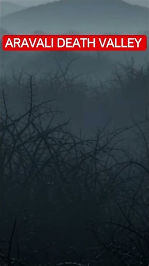 ARAVALI DEATH VALLEY | Wo Jungle Jahan Log Zinda Dafna Diye Gaye | Bhootkaal Files | Horror shorts |