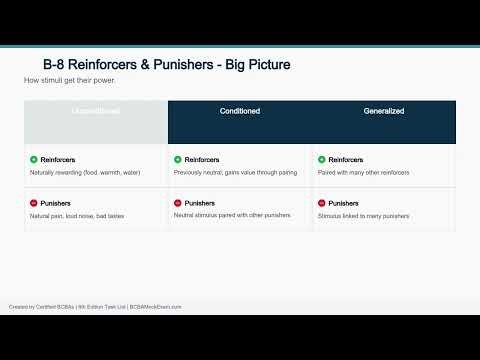 BCBA Section B6–B10 Breakdown: Punishment, Extinction, Reinforcers & Stimulus Control|BCBA Mock Exam