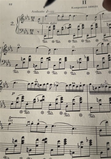 Chopin's Nocturne in E-flat Major: A Lyrical Journey