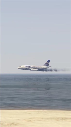 Plane Engine Smoke Emergency Landing in Water