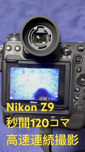 ニコンのフラッグシップミラーレスカメラニコン Z 9 「ハイスピードフレームキャプチャ+」を使用120コマ/秒（約1100万画素）の超高速連写