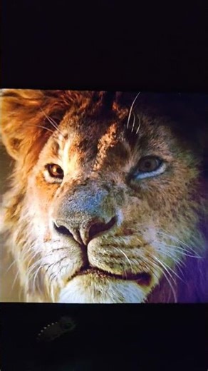 Simba vs Scar # The Lion King 2019 # Disney