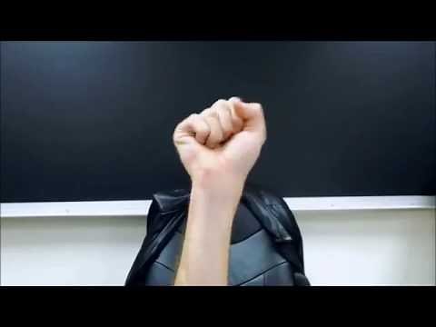 CL:S "head" | ASL - American Sign Language