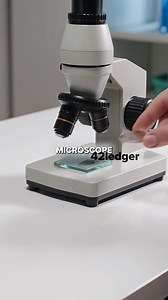 Why Is It Called 'Microscope' If It Makes Things Bigger?
