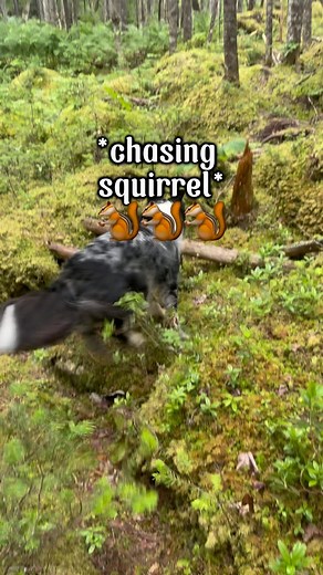 15K views · 74 comments | 50% OFF WITH CODE BACKTOSCHOOL 邏 we’ll...