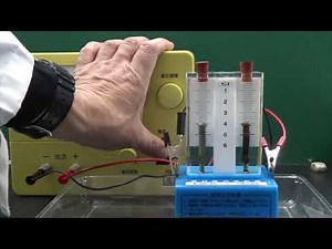 【ゆる〜い理科教室013】水の電気分解#理科#実験#動画#中学校２年#分解#化学変化
