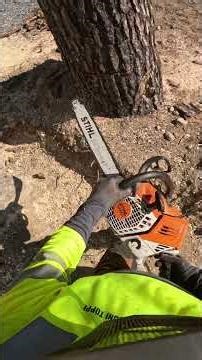 Would You Cut a Tree This Close to a Home? 🌲🏠