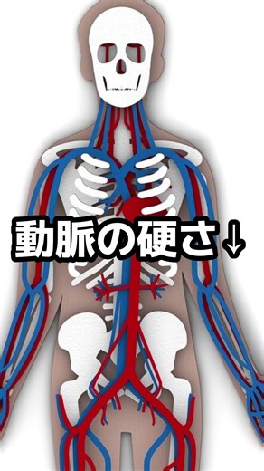 高血圧と血管の科学