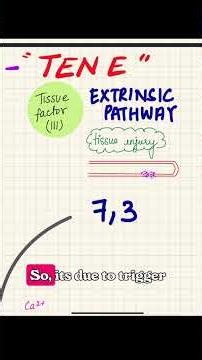 Coagulation cascade 🩸 #physiology #firstyearmbbs #mnemonic #coagulationcascade #coagulation