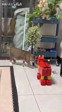 Cat vs Robot Cat 😲 Real Cat Reaction! Funny Cat Video 2026 #cat #robotcat #funnycat #catreaction