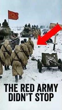 WWII Turning Point: What Happened After Stalingrad? #battleofstalingrad