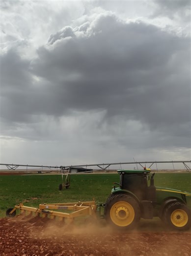 Starting Out in Farming: A Journey with Randy The Farmer