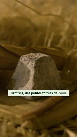 Family farm #Organic and direct sales: Aurore relaunches the goat farm thanks to Hectarea