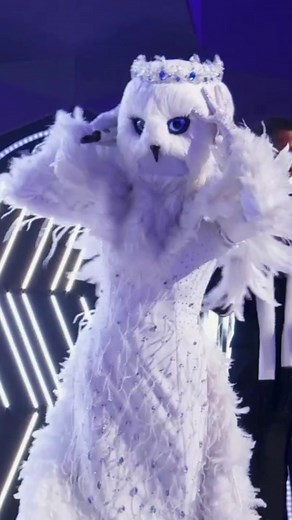 Clint Black and Lisa Hartman Black reveal as Snow Owls on The Masked Singer