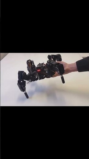 This Quadruped Robot 4DOF Walks Like a Real Animal! 🤖🐾