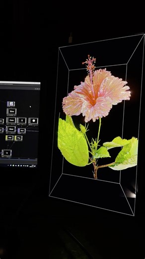 The Cycle of a “Flower” | Touchdesigner