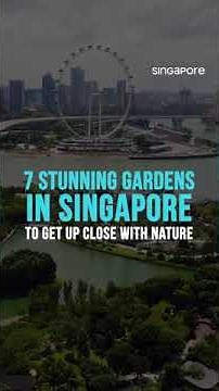 The Most Exquisite Gardens In Singapore | ‪@VisitSingapore‬ | Tripoto